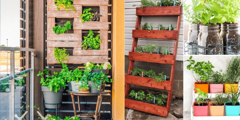 Creative-Herb-Garden-Ideas