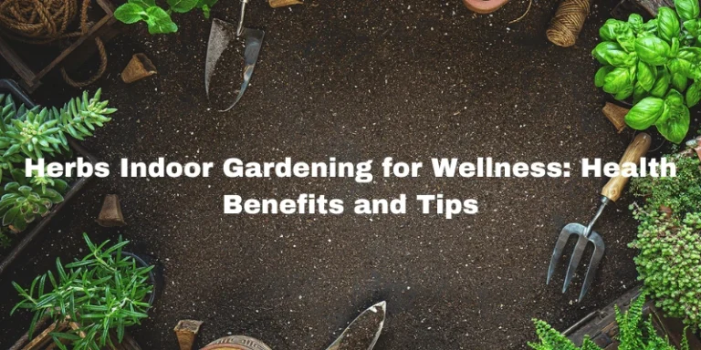 “Herbs Indoor Gardening for Wellness: Health Benefits and Tips”