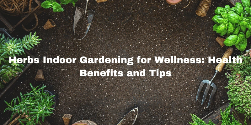 Herbs-Indoor-Gardening-for-Wellness-Health-Benefits-and-Tips